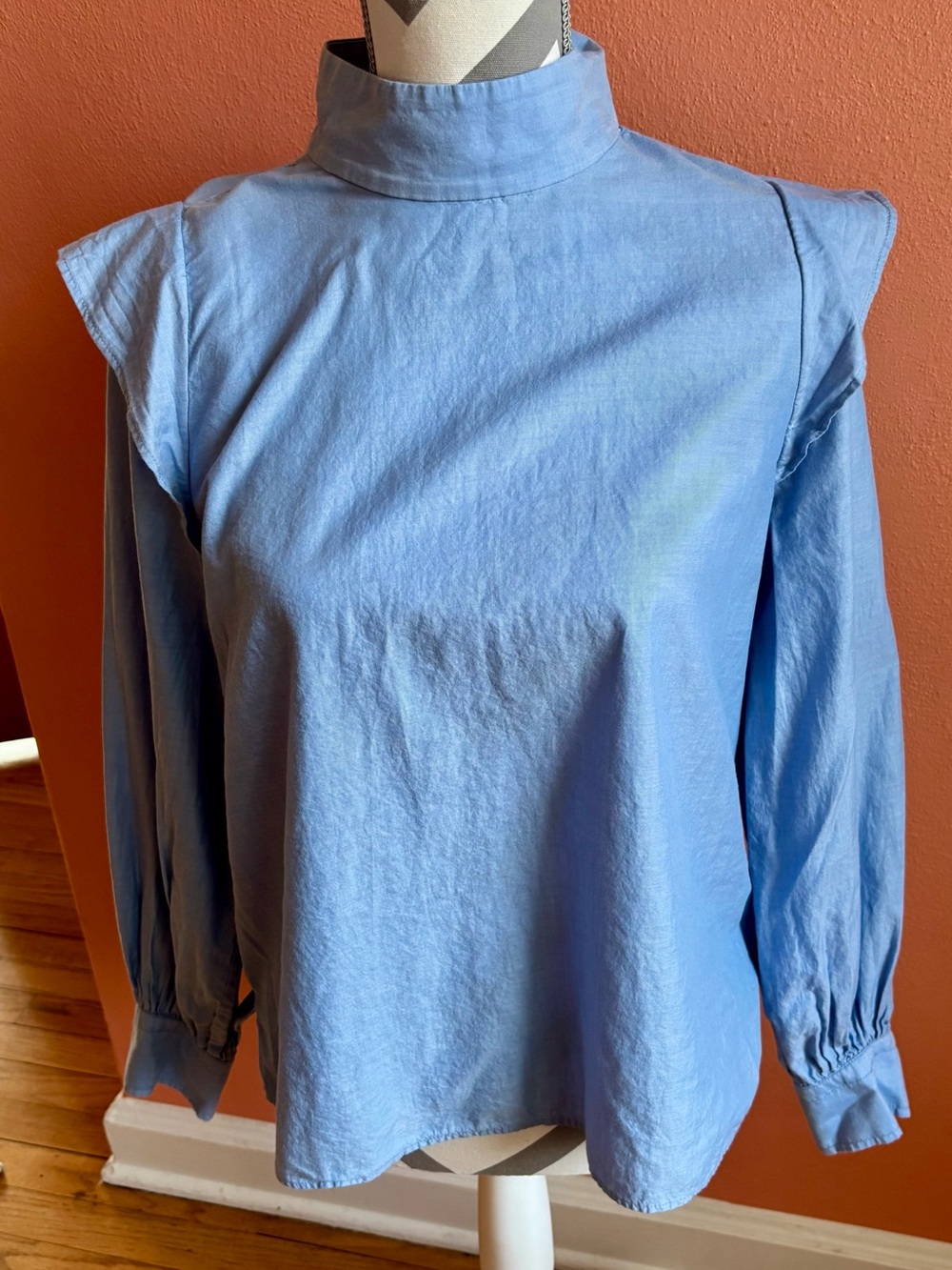 Everlane Light Blue Mock Neck Long Sleeve Blouse